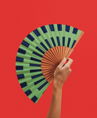 A Fan Of Lepeza Noria