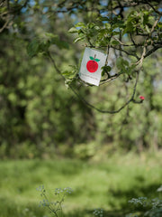Čestitka Apple među granama, u krošnji