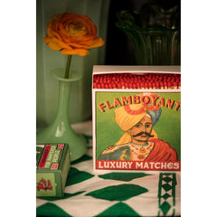 Archivist Šibice Mr Flamboyant | SHARENO