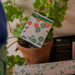 Šibice Nasturtium brenda Archivist