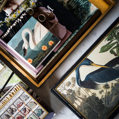 Archivist Šibice XXL Louisiana | SHARENO