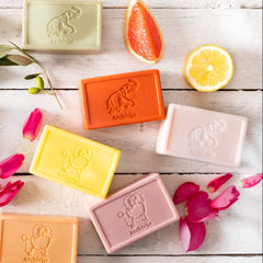 Archivist sapun Rose Poodle kolekcija poodle