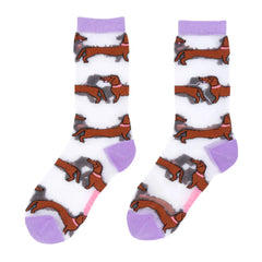 Coucou Suzette Čarape Dachshund