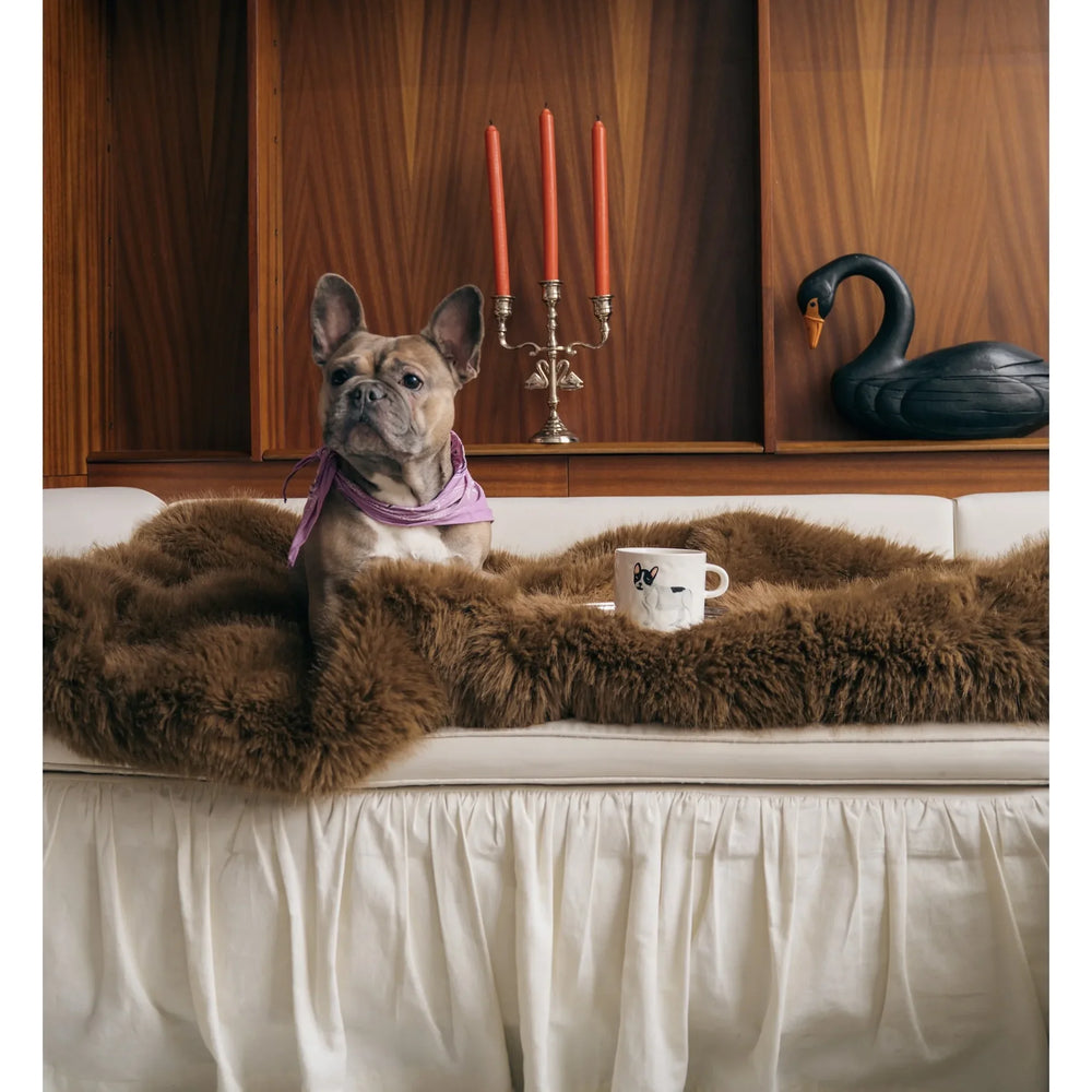 Anna + Nina Šalica za čaj - Francuski buldog