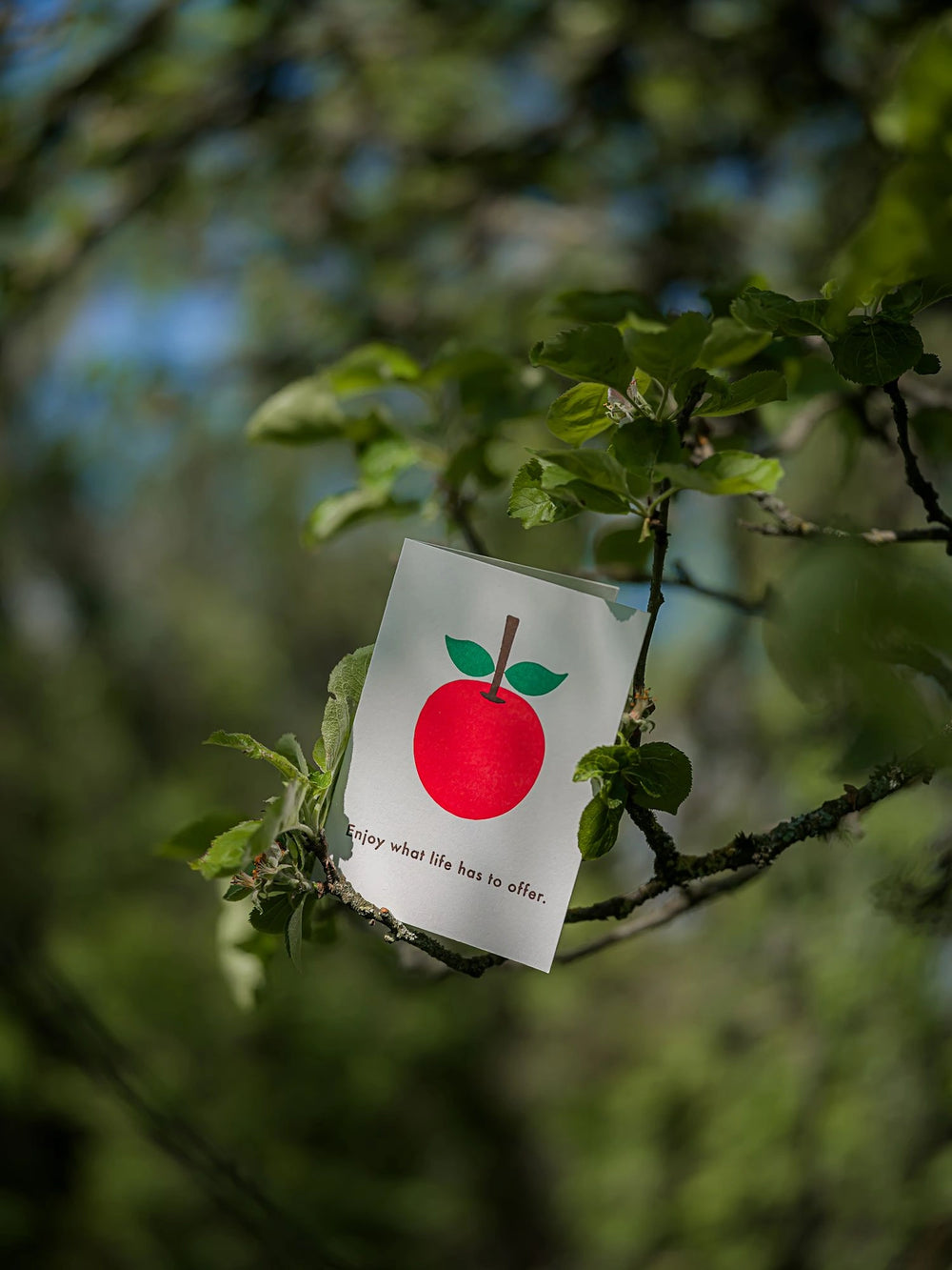 Čestitka Apple obješena na grani voćke