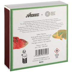 Archivist Šibice Fish - šibice