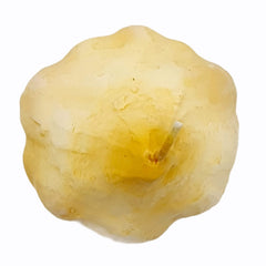 Cereria Introna Svijeća Garlic - Ø 6.5 cm