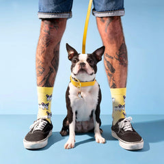 Coucou Suzette Socks Bulldog