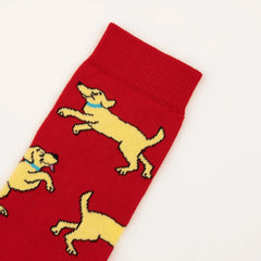 Coucou Suzette Socks Golden Retriever