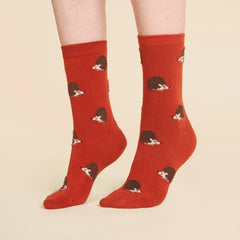 Coucou Suzette Čarape Hedgehog - na modelu