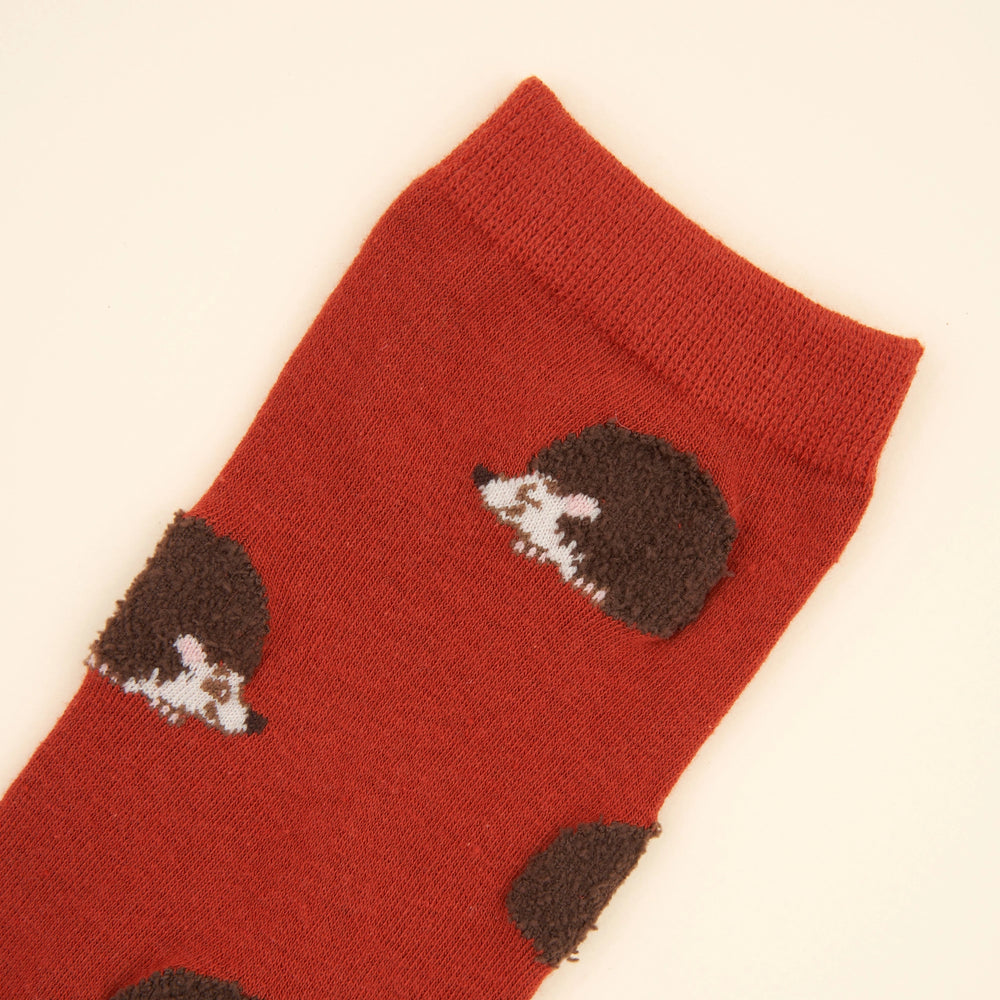 Coucou Suzette Čarape Hedgehog - detalj