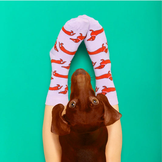 Coucou Suzette Socks Dachshund