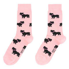 Coucou Suzette Staffy Socks