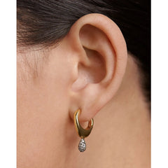 PDPAOLA Lava Earring - Pave