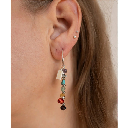 Wald Over The Rainbow Gemstone Earrings