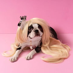 Coucou Suzette Kopča za kosu Bulldog