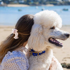 Coucou Suzette Hair Clip Poodle